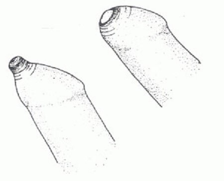 attachments-2017-04-SX29uyeD5904483b45c1